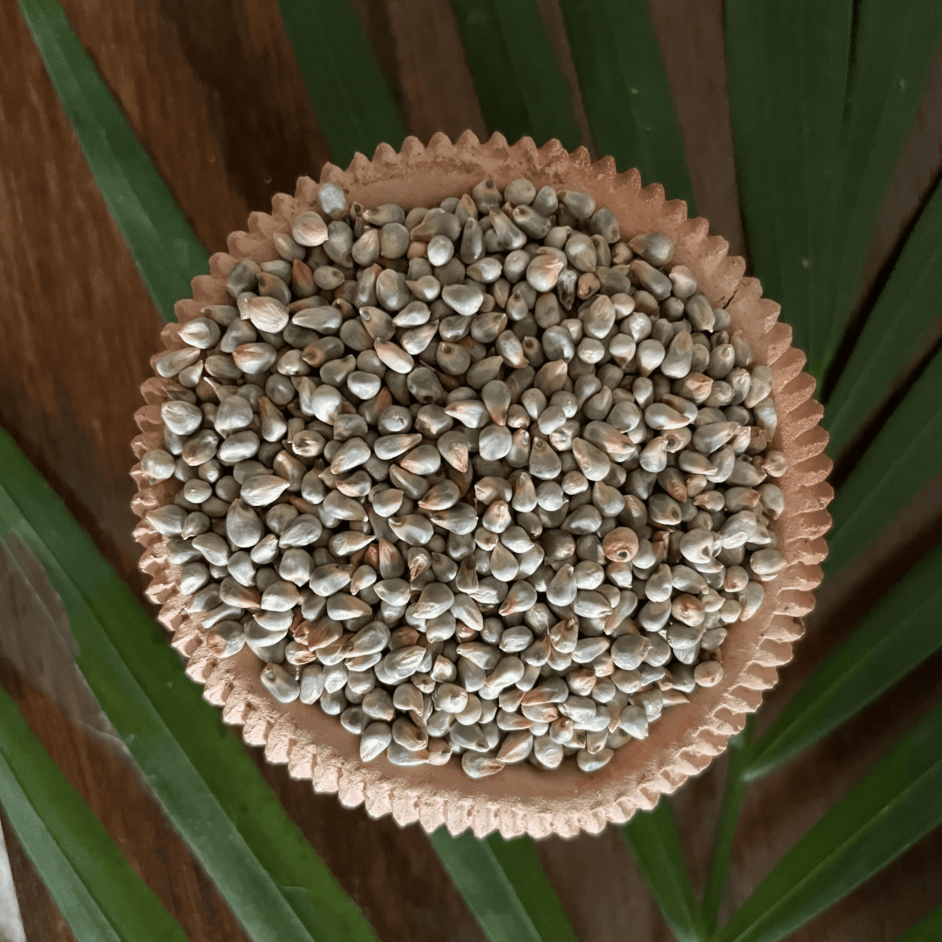 Millet