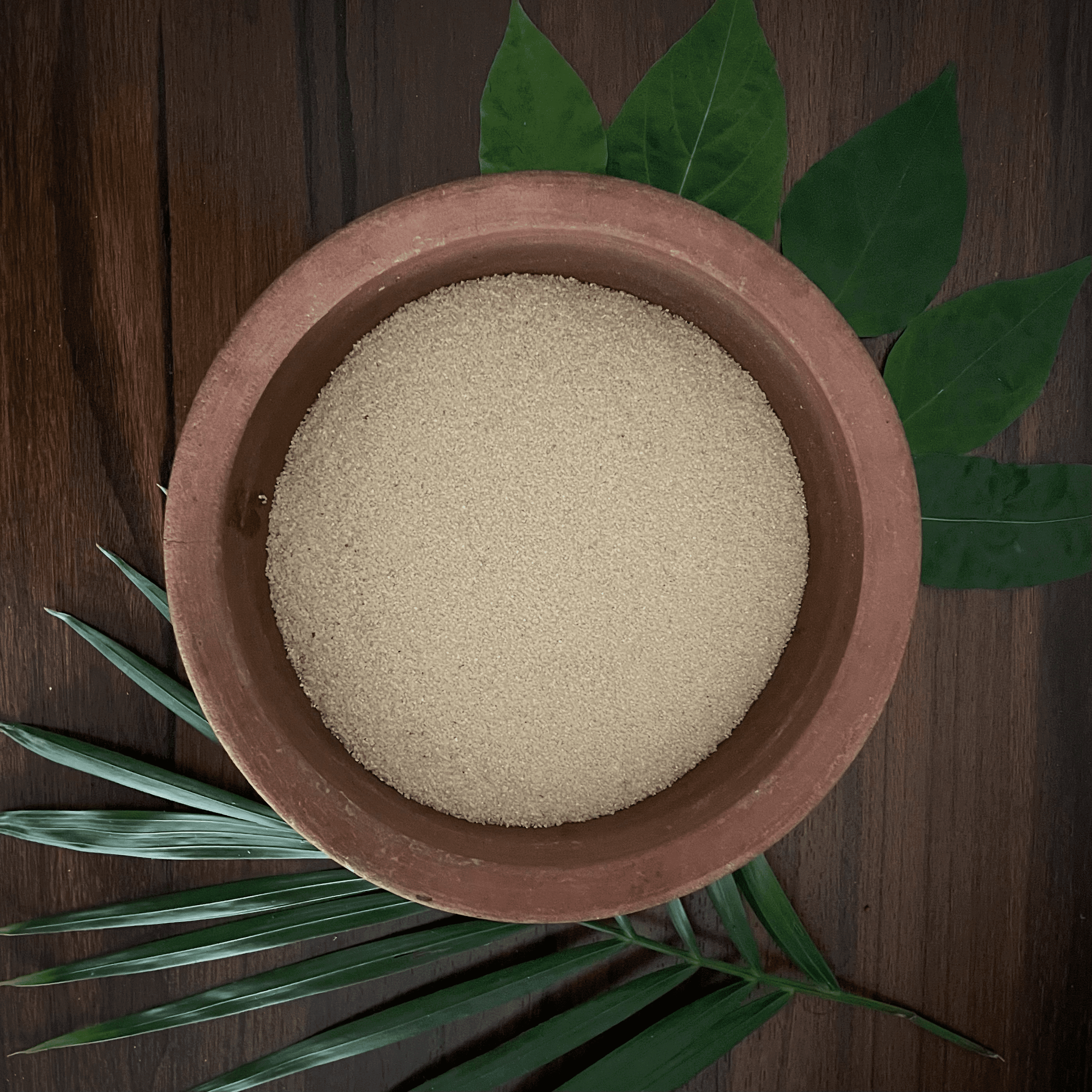 Jowar-Rava