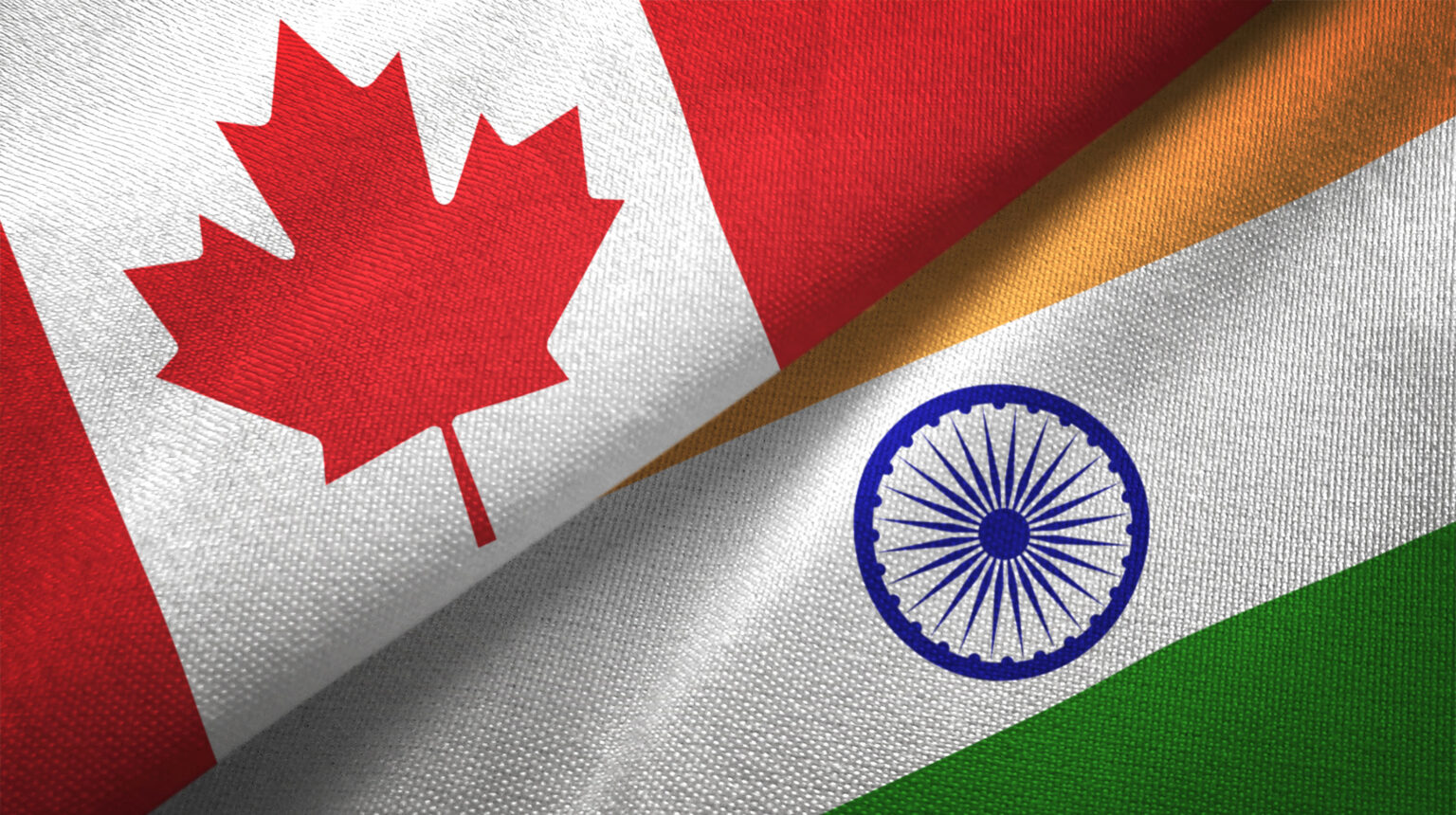 Unlocking the Potential of Indian Agricultural Exports for Canadian Importers